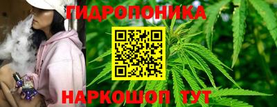 гашишное масло Сланцы