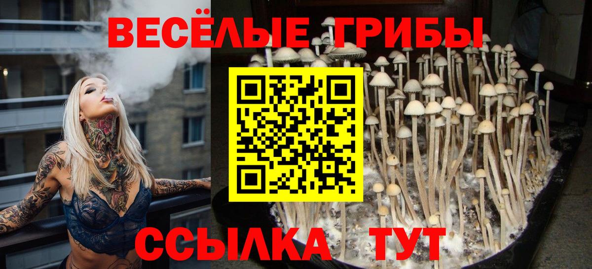Галлюциногенные грибы Magic Shrooms  Вход с VPN  Ставрополь 