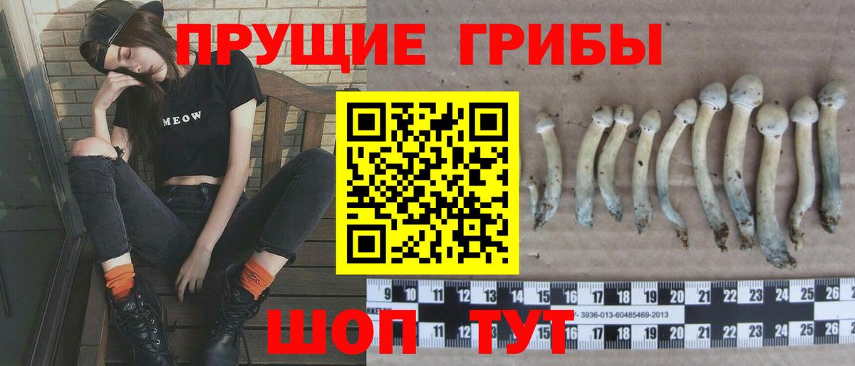 Псилоцибиновые грибы прущие грибы Ставрополь